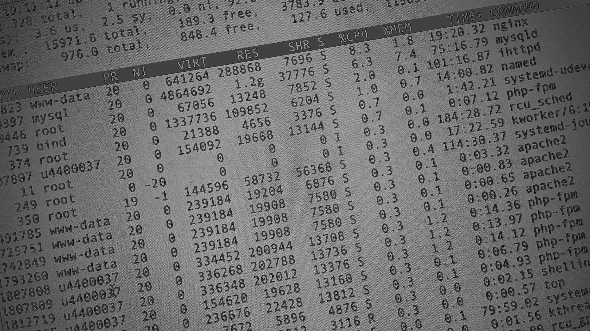 Настройка сервера в Новоаннинском