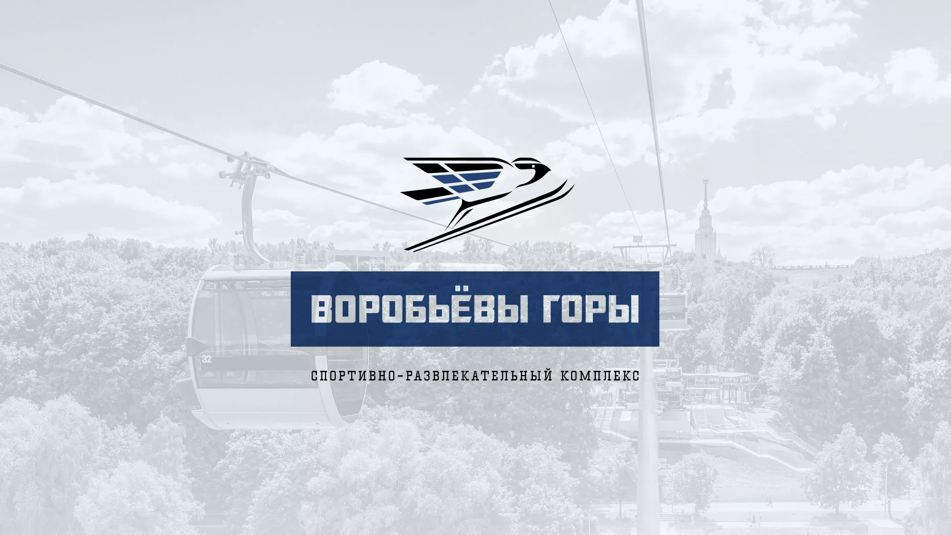 Разработка сайта в Новоаннинском для спортивно-развлекательного комплекса «Воробьёвы горы»