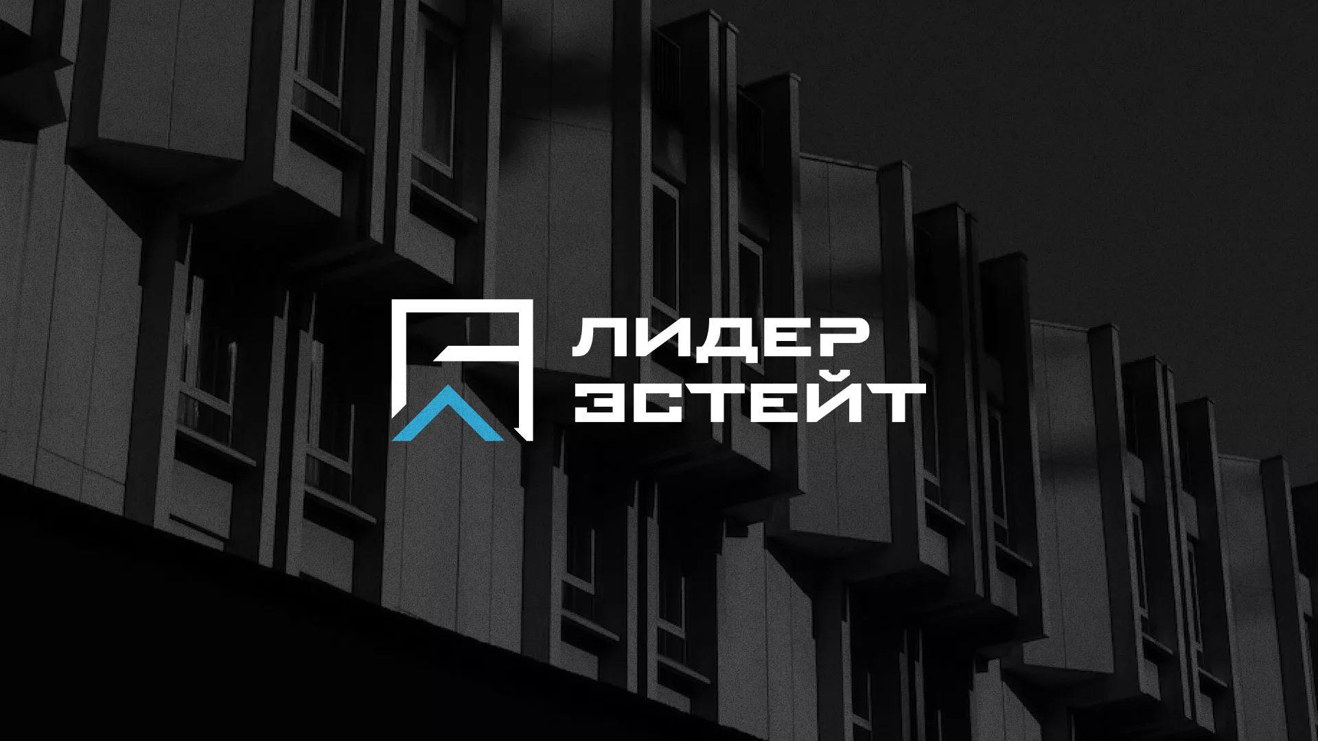 Разработка логотипа агентства недвижимости «Лидер Эстейт» в Новоаннинском